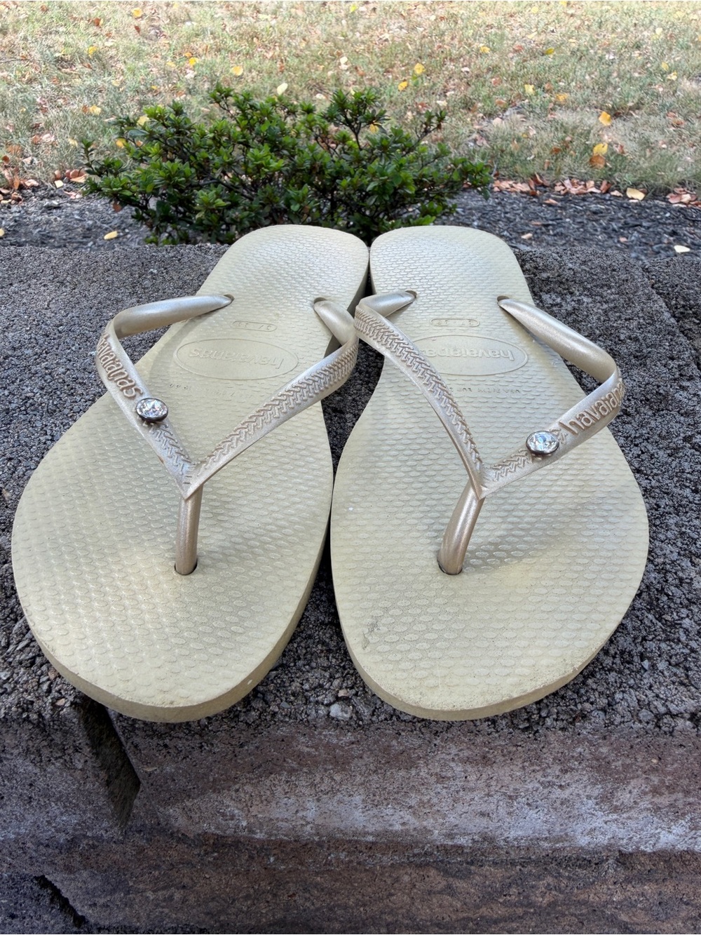 Havaianas Women's Slim Flip Flops with Crystal in Metallic Champagne